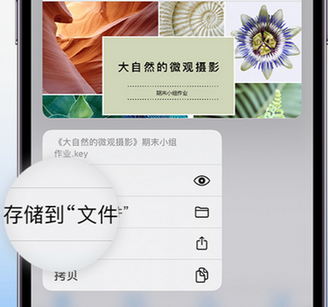 额尔古纳apple维修中心分享iPhone文件应用中存储和找到下载文件