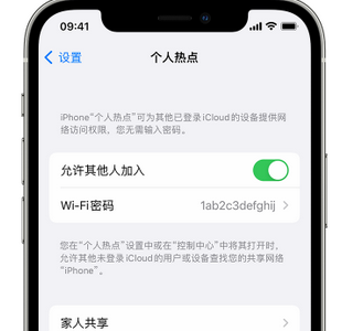 额尔古纳apple服务站点分享iPhone上个人热点丢失了怎么办 