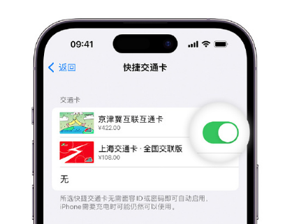 额尔古纳apple维修点分享iPhone上更换Apple Pay快捷交通卡手绘卡面 