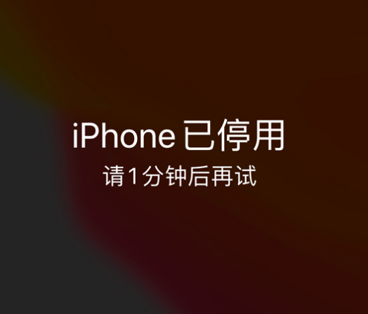 额尔古纳苹果手机维修分享:iPhone 显示“不可用”或“已停用”怎么办？还能保留数据吗？ 