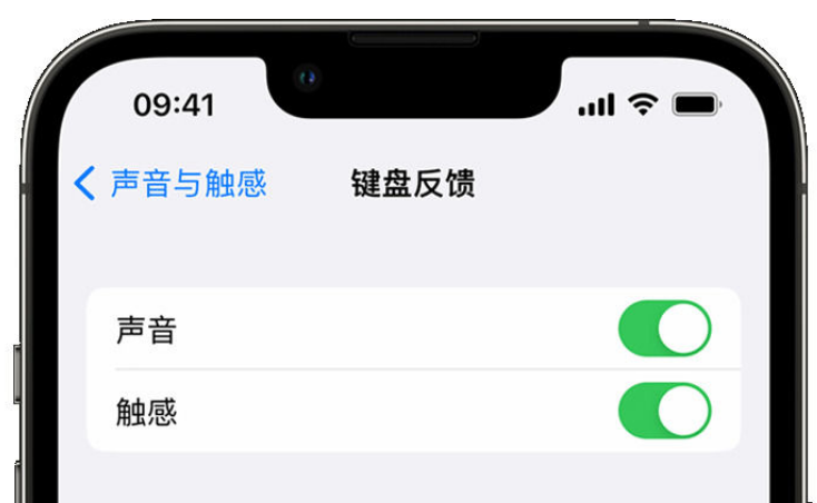 额尔古纳苹果手机维修分享iPhone 14触感键盘使用方法 