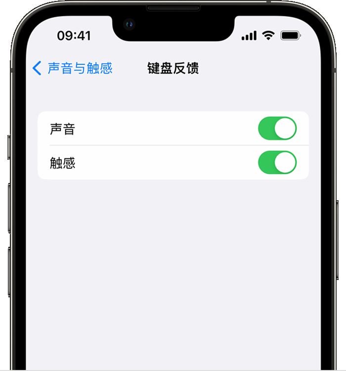 额尔古纳苹果14维修店分享如何在 iPhone 14 机型中使用触感键盘 