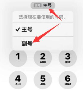 额尔古纳苹果14维修店分享iPhone 14 Pro Max使用副卡打电话的方法 