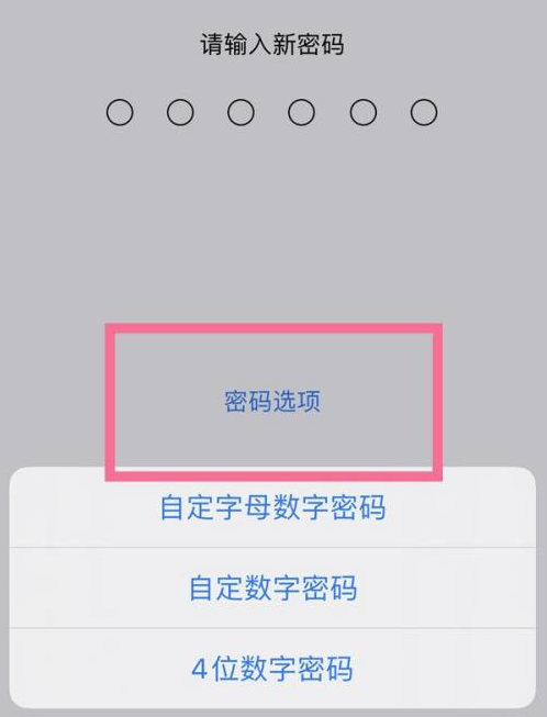 额尔古纳苹果14维修分享iPhone 14plus设置密码的方法 