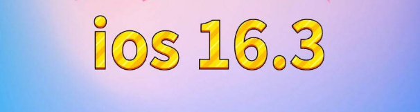 额尔古纳苹果服务网点分享苹果iOS16.3升级反馈汇总 