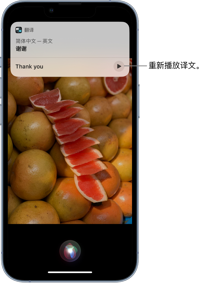 额尔古纳苹果14维修分享 iPhone 14 机型中使用 Siri：了解 Siri 能帮你做什么 