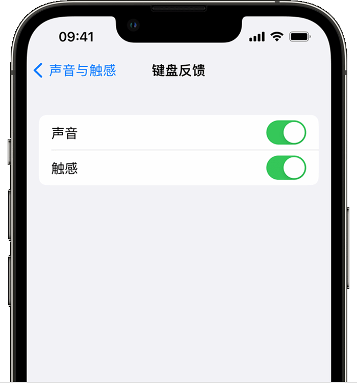 额尔古纳苹果14维修分享iPhone 14 系列机型如何开启键盘声音或触感反馈 