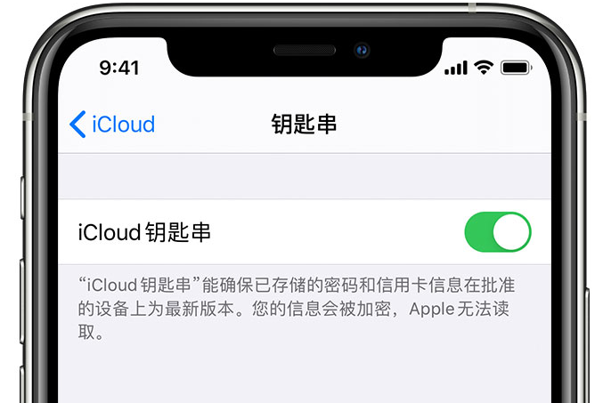 额尔古纳苹果手机维修分享在 iPhone 上开启 iCloud 钥匙串之后会储存哪些信息 