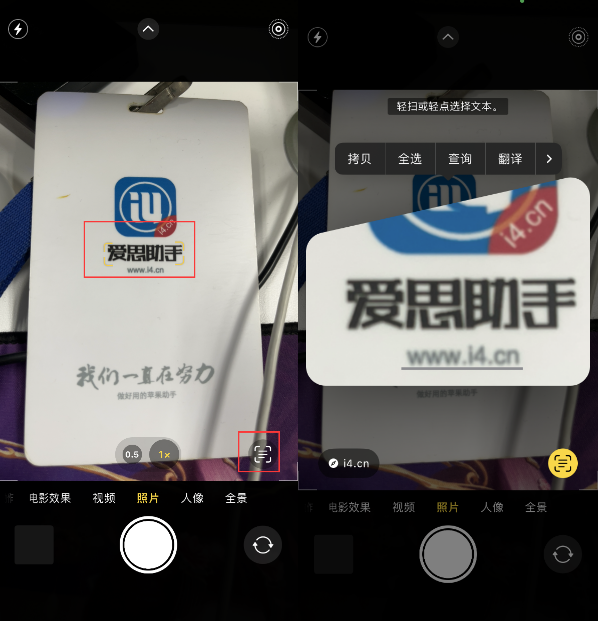 额尔古纳苹果手机维修分享升级iOS 16后如何通过相机翻译文本 