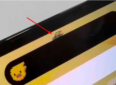 额尔古纳苹果14维修分享iPhone 14 Pro Max灵动岛怎么养宠物 