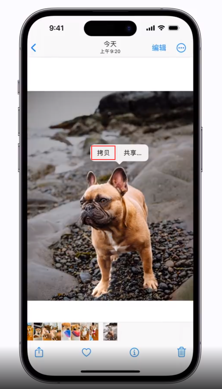 额尔古纳苹果手机维修分享 iOS 16 自带一键抠图功能 