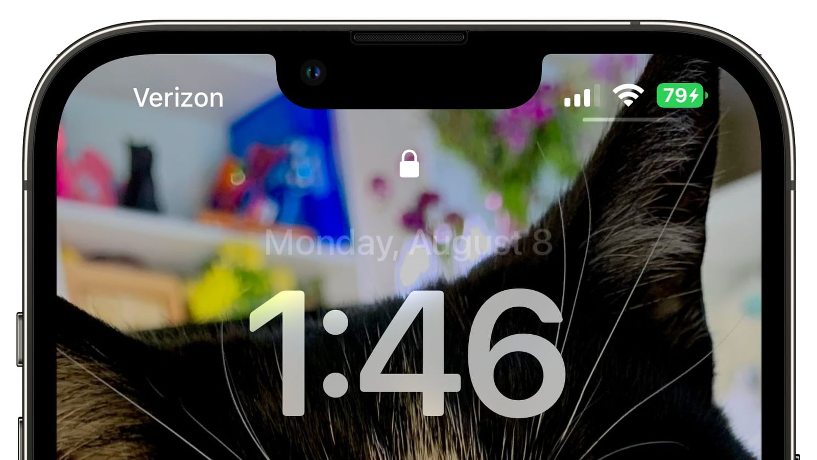 额尔古纳苹果手机维修分享iOS 16 beta 5 支持状态栏显示电池百分比，如何开启？支持哪些机型 