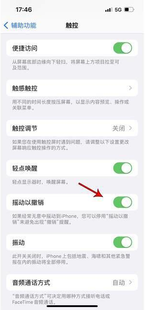 额尔古纳苹果手机维修分享iPhone手机如何设置摇一摇删除文字 