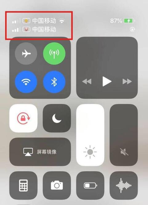 额尔古纳苹果手机维修分享为 iPhone 12 双卡设置标签 